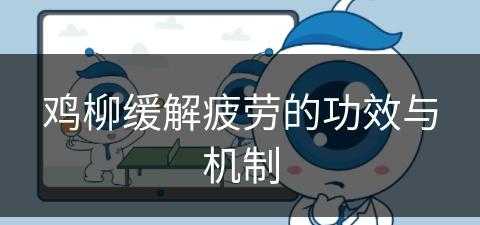 鸡柳缓解疲劳的功效与机制